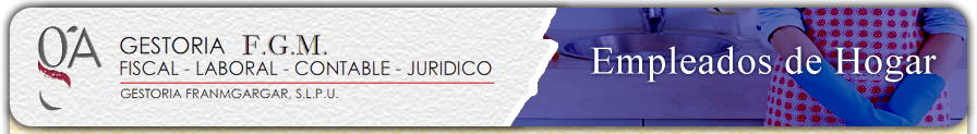 Empleadas de Hogar Madrid - Seguridad Social