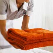 alta seguridad social